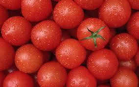 tomatid potentsi